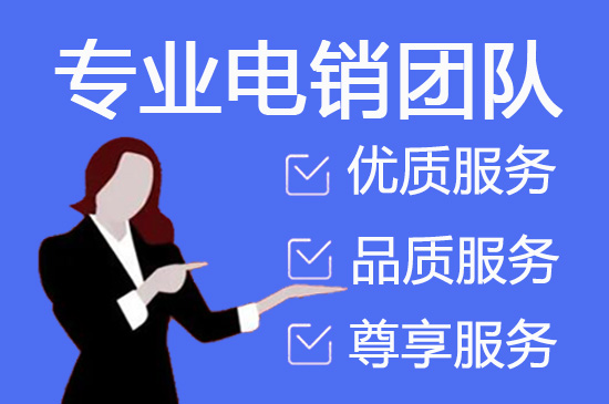 西安飞鸟客服外包